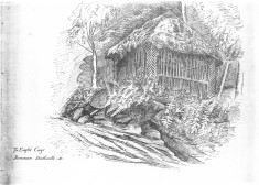 The Eagle's Cage