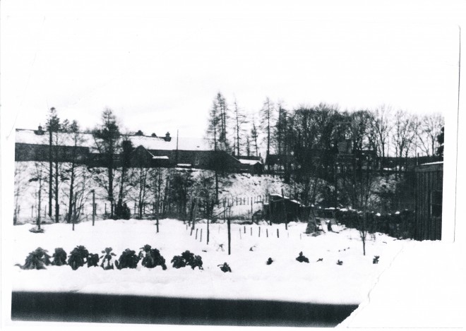 Snow-Covered Part of the Village