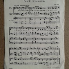Page four
