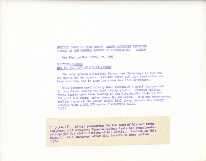 F.K. Balfour 3 (back)