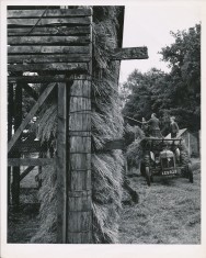Stacking Corn