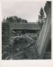 Sawmill