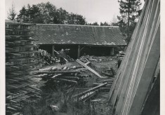 Sawmill