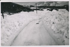 Cleared Road