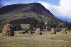 Farming 3