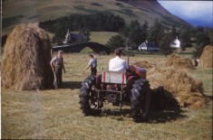 Farming 4