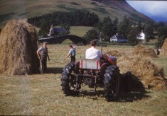 Farming