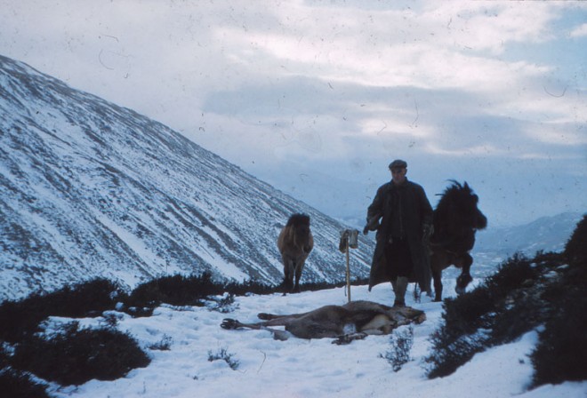 Jim Ramsay in the hills.