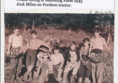 Potato Lifting (Tattie Picking)