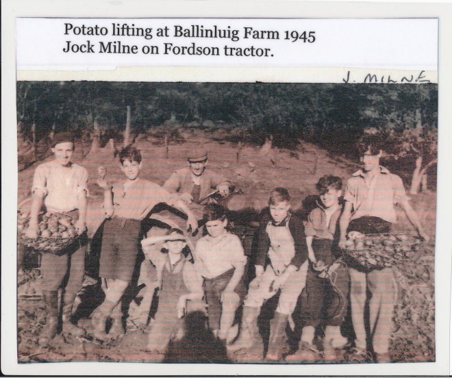 Potato lifting at Ballinluig Farm, 1945.  Jock Milne on tractor at the back.