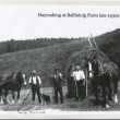 Haymaking at Ballinluig