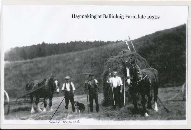 Haymaking at Ballinluig Farm, c. 1938.