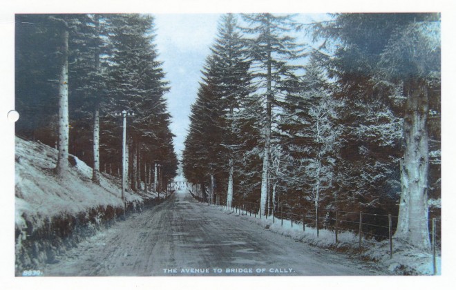 The road leading from Glenericht to Bridge of Cally, c. 1905.