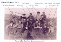 Potato Pickers