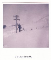 D Wallace in Snow