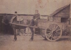 Man with Horse and Cart