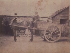 Man with Horse and Cart