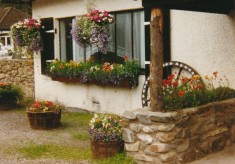Blackwater Inn