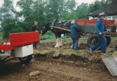 Horse