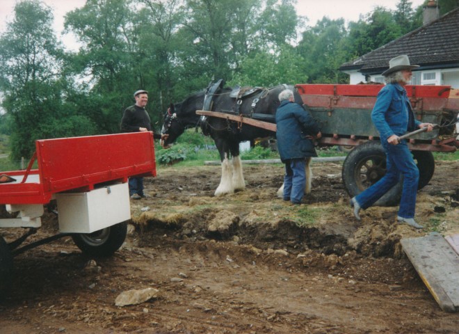 Horse