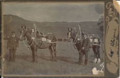 Mount Blair Show