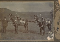 Mount Blair Show