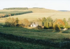 Balnakilly (After Fire) 1