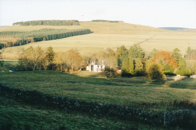 Balnakilly (After Fire) 1