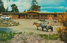 Log Cabin Hotel