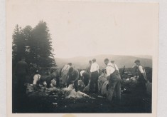 Shearing (2)