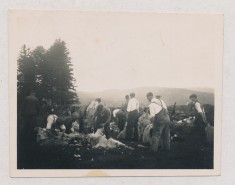 Shearing (2)