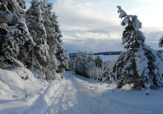 Glen Derby in the snow