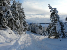 Glen Derby in the snow