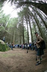Before the trees were felled