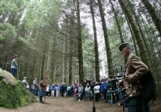 Before the trees were felled