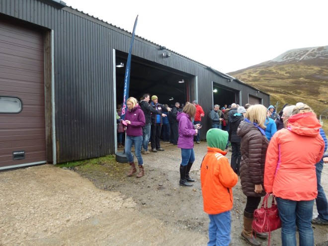 The Auction