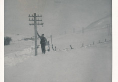 Snow (4)