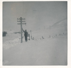 Snow (4)