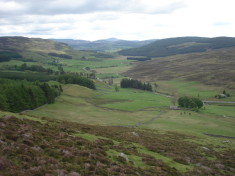A view up the glen