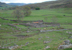 Ruins of an old croft