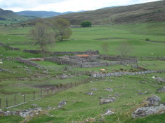 Ruins of an old croft