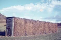 Hay Stacks