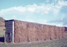 Hay Stacks