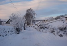 In the Snow (1)