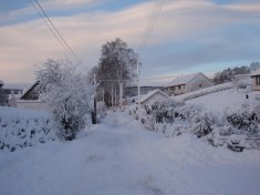 In the Snow (1)