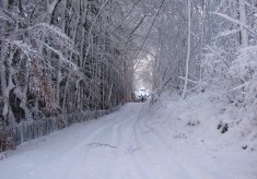 Winter Scene