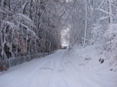Winter Scene