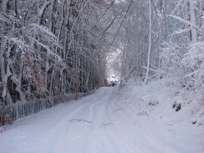 Back Road   behind Glenardle the old road & goes along from what was the school ending at Corriefodly in winter. Nov 2010 | Fiona Mackenzie