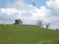 Whitefield Castle