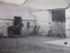 The Stables